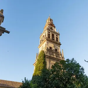 Patios De San Agustín Córdova
